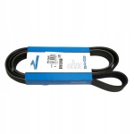 PASEK KLINOWY DAYCO NISSAN PATROL GR Y61 3.0Di