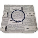 USZCZELKA ORING VACUM POMPY NISSAN PATROL GR Y61 3.0 DTi OEM NISSAN